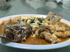 -煲来饱去冷水鱼