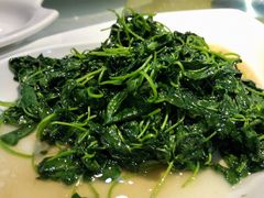 酒香草头不要圈子-大家发海鲜城夜排档(华山中路店)