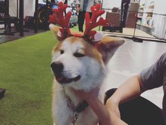 -YCHL Studios健身工作室(市二宫店)