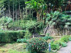 -宁波余姚老柿林山居度假村