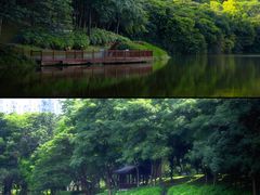 -深圳国际园林花卉博览园