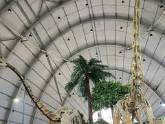-辽宁古生物博物馆