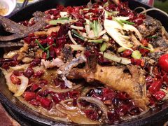 -老板恋上鱼(高新万达店)
