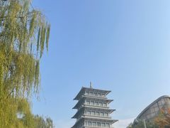 -西安浐灞国家湿地公园