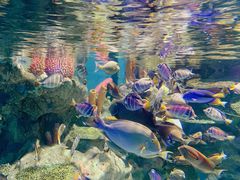 -海合安成都极地海洋公园