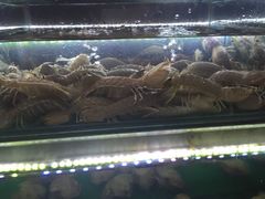 -覃记海鲜美食餐厅