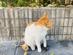 -新达口腔(华东理工大学店)