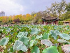 -莲湖公园