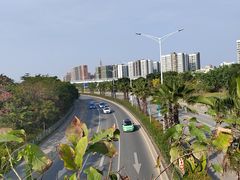 -宝安西湾红树林湿地公园