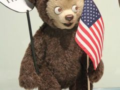 android_upload_pic-济州岛泰迪熊博物馆