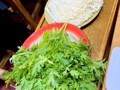 茼蒿-东镇老火锅(长春路首店)