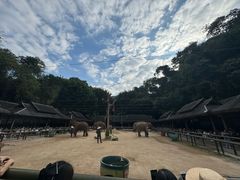 -野象谷景区