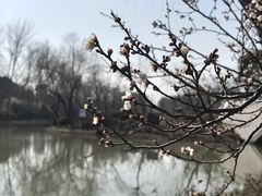 -自然谷恐龙园