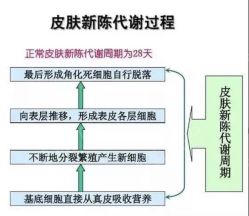 -厦门美莱整形美容医院