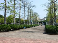 -中山公园(石岐街道)
