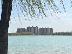 -象湖生态湿地公园