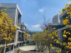 -KISS U 国际美学