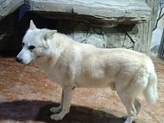 -盘龙城国家考古遗址公园