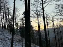 -四明山国家森林公园