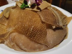 脆嫩毛肚-大渝火锅(氿滨大道店)