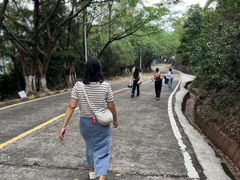 -大雁山风景区
