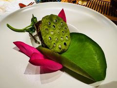 -叶叶菩提(旗舰店)