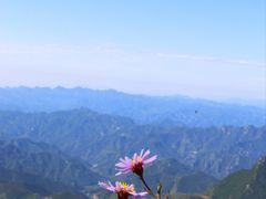 -白草畔自然风景区