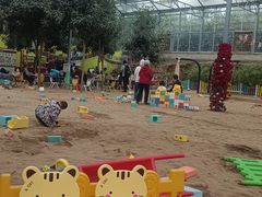 -西部长青自然儿童乐园