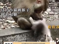 -昆明动物园