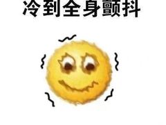 -耶里夏丽·新疆菜(徐家汇甄选店)