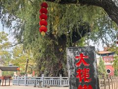 -大槐树寻根祭祖园
