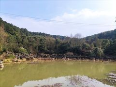 -铁山坪森林公园