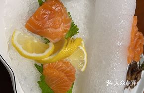 Bird Clam Salmon