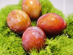 -会仙楼(金融街店)