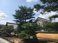 -豆政(金閣寺境内売店)