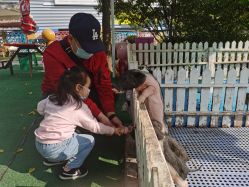 -萌宠亲子动物乐园(槐房万达店)