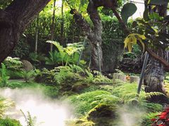 -Chom Cafe and Restaurant