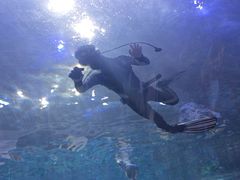 -华夏文旅海洋公园