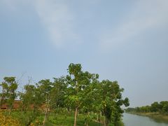 -上海滨江森林公园