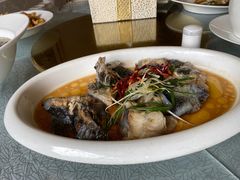 海参斑鱼两食-渔公码头·九龙湾国际饭店