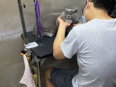 -PETKIT小佩宠物·低压洗护(国顺东路店)