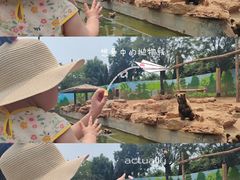 -济南野生动物世界