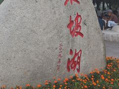 -眉山湿地公园(东坡区)