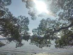 -东湖落雁景区