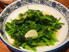 -Mountain House East Village 川山甲