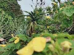 -鑫阿强海鲜大排档·老厦门特色菜(中山路店)