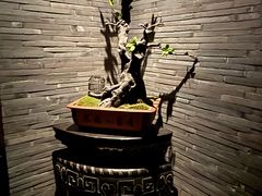 -润苑·悦椿轩(徐汇万科中心一期店)
