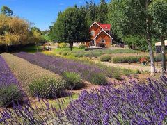 iphone_upload_pic-包头市畅兴现代农业园