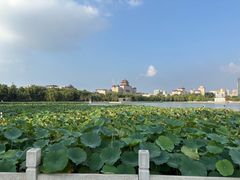 -莲花池公园