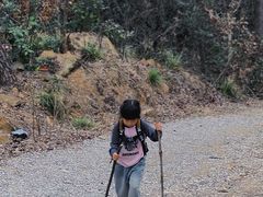 -青龙山国家森林公园